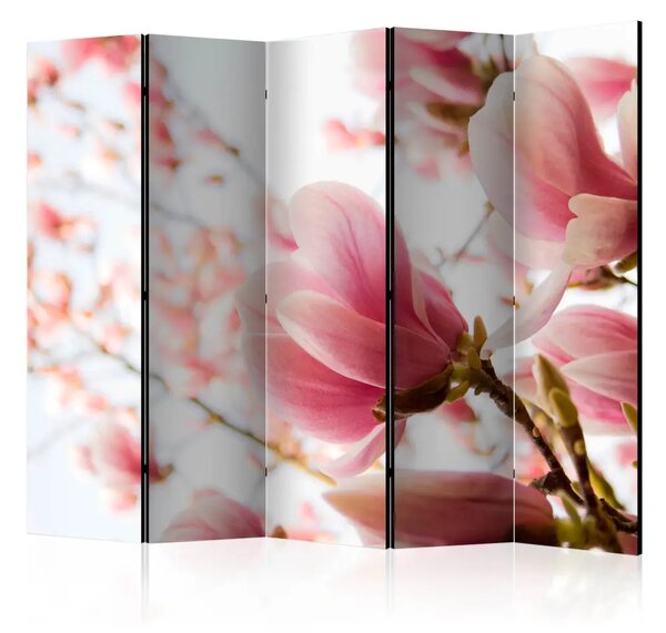Paravento Magnolia rosa II - fiori delicati tra i rami