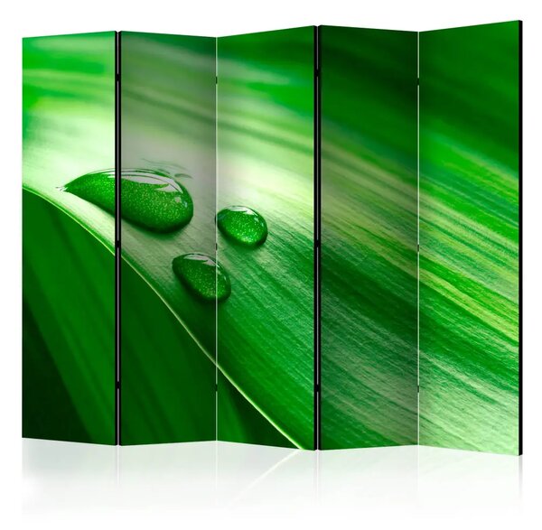 Paravento design Foglia e tre gocce d'acqua II - composizione in verde