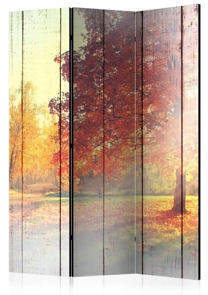 Paravento Sole d'autunno - paesaggio caldo tra gli alberi