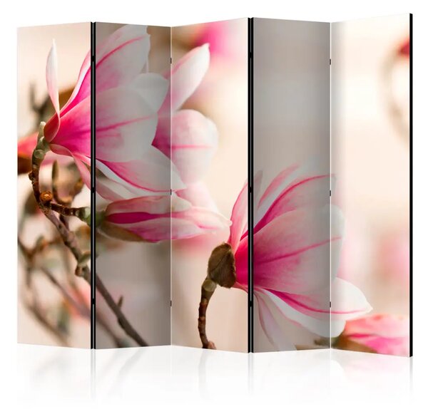 Paravento Ramo di magnolia II - Fiori rosa su sfondo chiaro