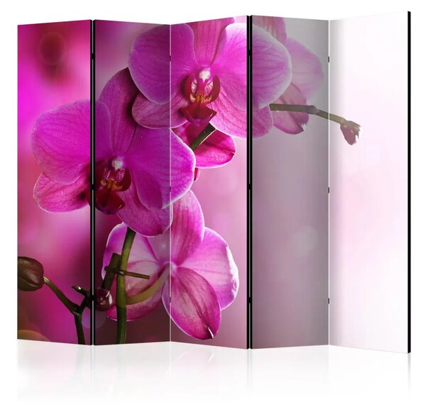 Paravento Pink orchid II - fiori sbocciati su uno sfondo rosa chiaro
