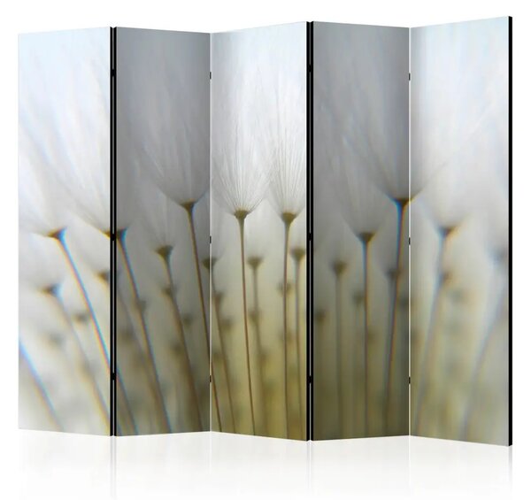 Paravento design Bosco di denti di leone II - fiori luminosi