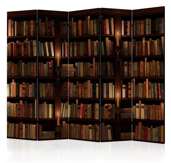Paravento design Librerie II - composizione scura con letteratura