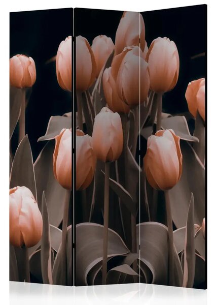Paravento Signore tra i fiori - bouquet di tulipani rosa