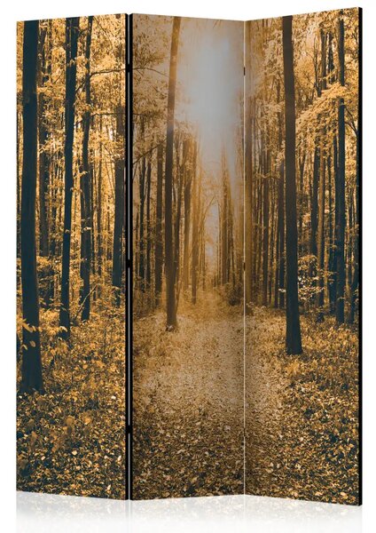 Paravento design Luce Magica - paesaggio autunnale tra gli alberi