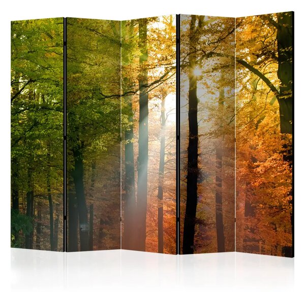 Paravento separè Colori del bosco II - paesaggio solare tra gli alberi