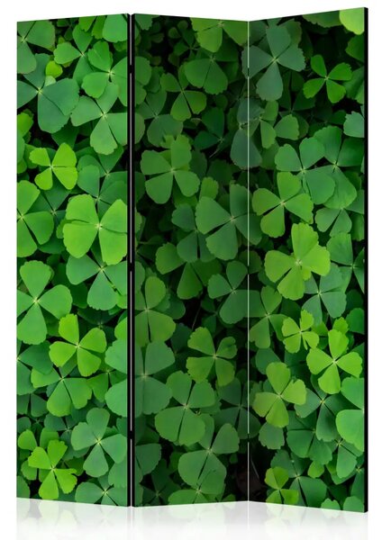Paravento design Trifoglio verde - semplice composizione in foglie delicate