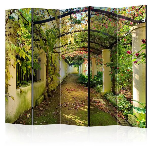 Paravento design Pergolato II - strada tra piante verdi e architettura
