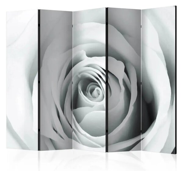 Paravento design Enigma di rose II - composizione con rosa in bianco