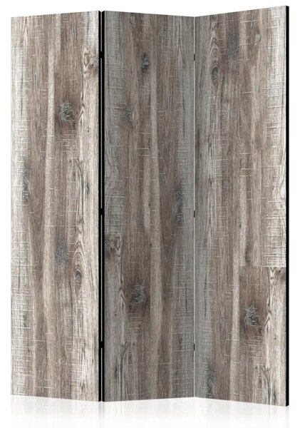 Paravento Legno Elegante - sfondo marrone con tavole