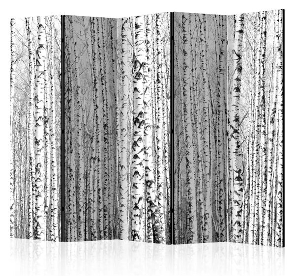 Paravento design Bosco Betulle II - composizione tra alberi