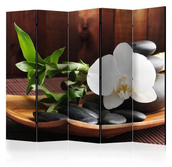 Paravento Tempio Zen II - Pietre e piante su sfondo di legno