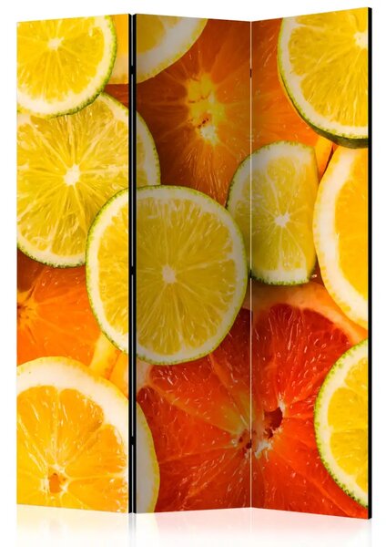 Paravento design Agrumi - frutti tropicali arancioni succosi