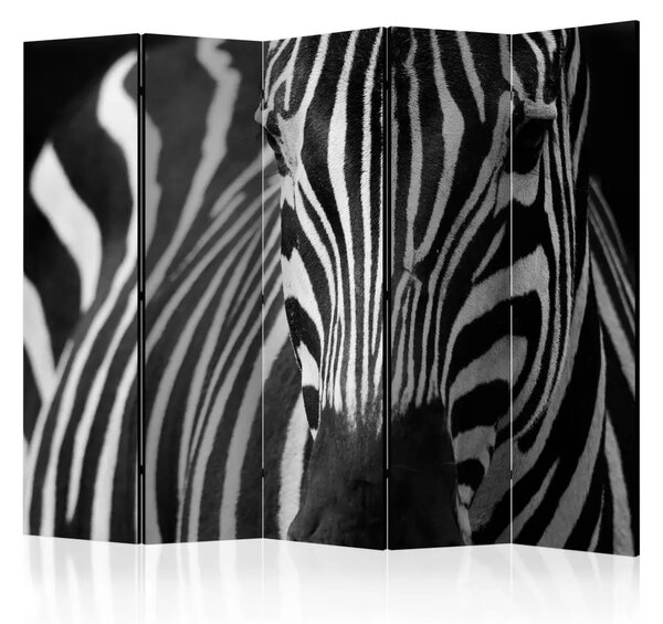 Paravento Bianco a Strisce Nere II - zebra in inquadratura insolita