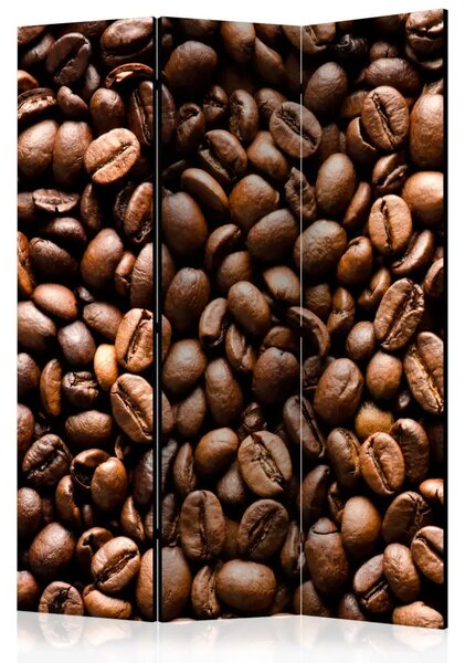 Paravento Chicchi Caffè Tostati - modello chicchi caffè