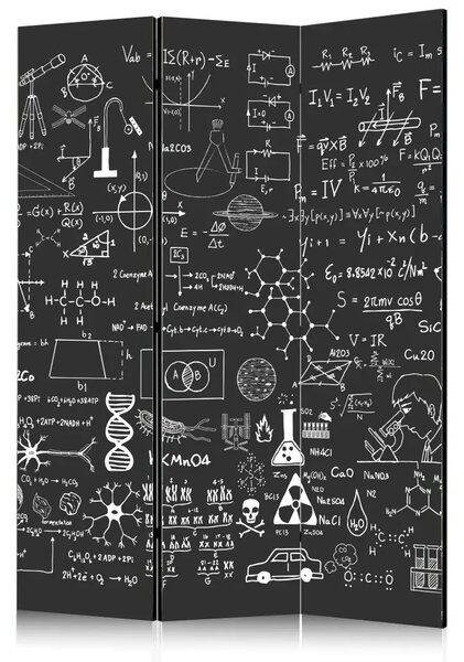 Paravento Pannello Scientifico - composizione bianco nero, scritte