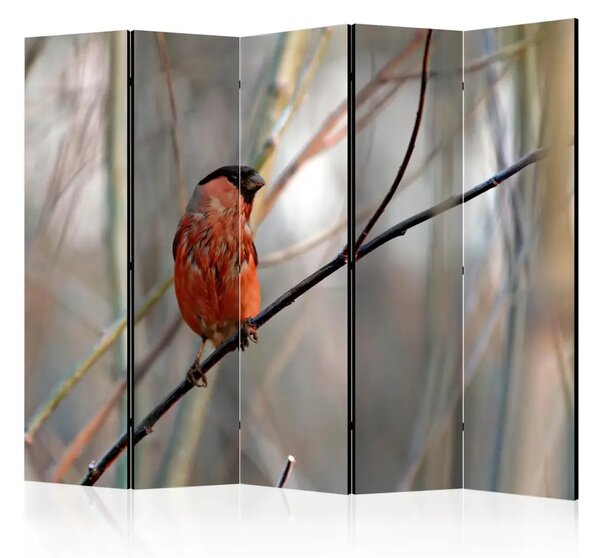 Paravento design Fringuello nella foresta II - uccello su sfondo alberi