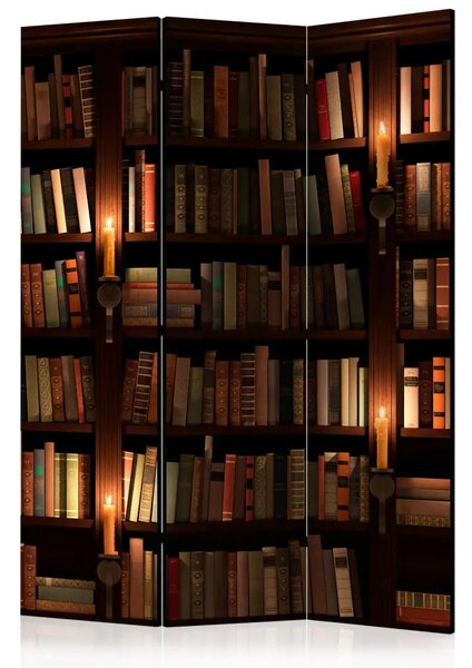 Paravento separè Scaffali con libri - composizione con libreria di legno
