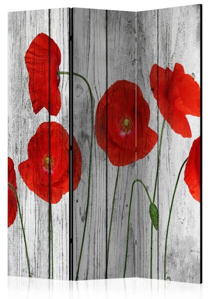 Paravento design Storia papaveri - fiori di campo su legno