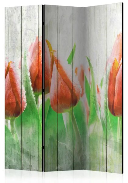 Paravento design Tulipani Rossi su Legno - fiori su una recinzione di legno bianco