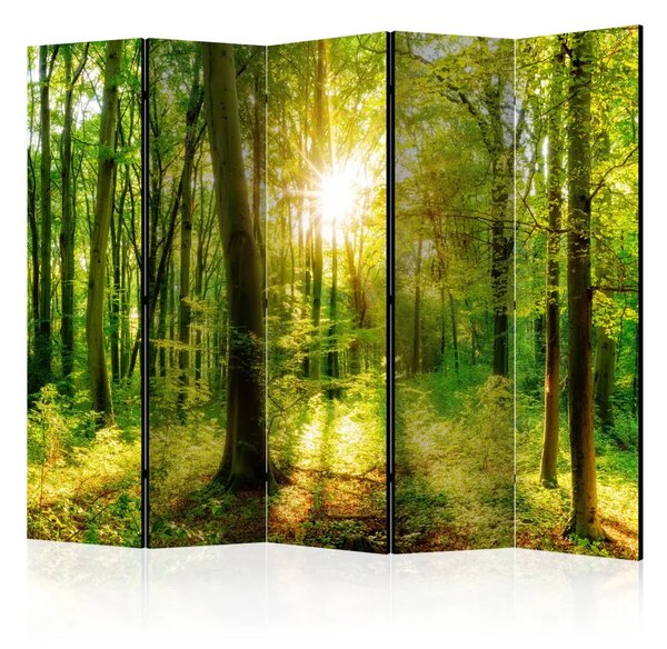 Paravento design Raggi della foresta II - paesaggio vegetale con sole