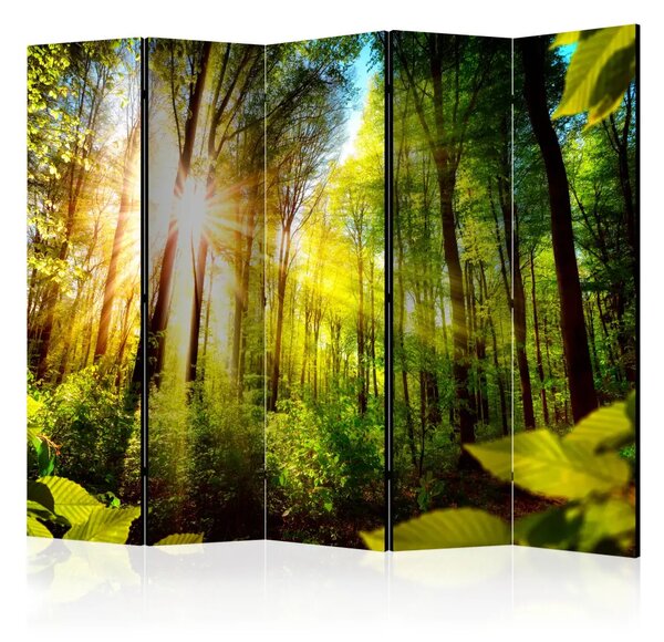 Paravento design Forest Hideout II - Paesaggio forestale con luce solare intensa