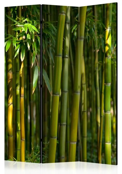 Paravento design Giardino orientale - paesaggio di foresta di bambù verde e vegetazione