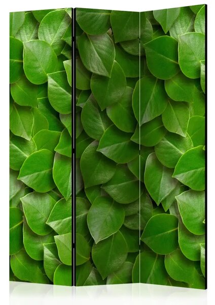 Paravento design Giardino segreto - composizione di texture vegetali con foglie verdi