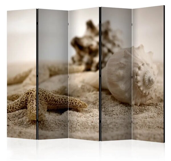 Paravento design Spiaggia e Conchiglia II - conchiglie sulla sabbia