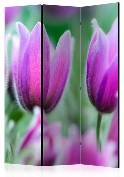Paravento separè Tulipani Viola Primaverili - Fiori colorati su sfondo di piante verdi