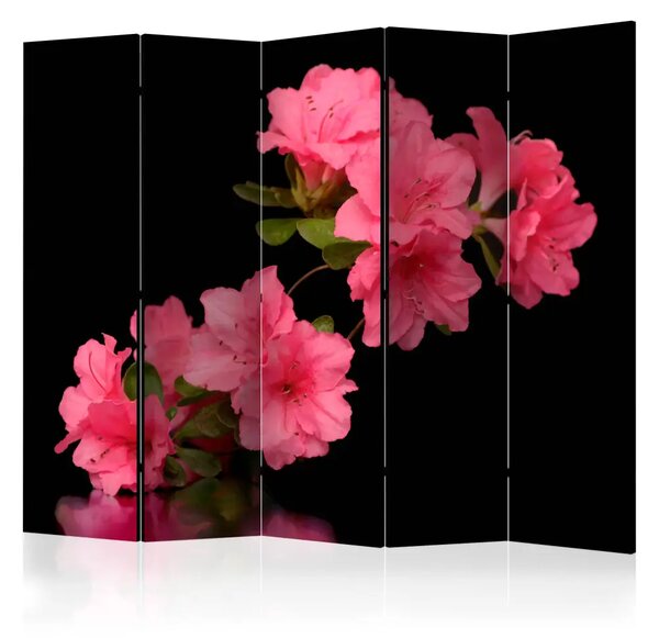 Paravento design Azalea in Nero II - Romantici fiori su sfondo nero uniforme