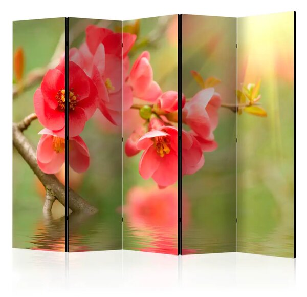 Paravento design Azalea Riflessa nell'Acqua II - piante rosse sull'acqua