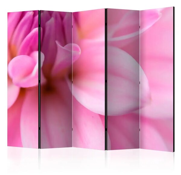 Paravento Petali Floreali - Dalie II - vellutati e romantici fiori rosa