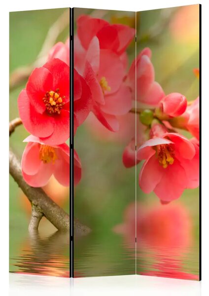 Paravento design Azalea Riflessa nell'Acqua - Composizione rossa di fiori sopra l'acqua