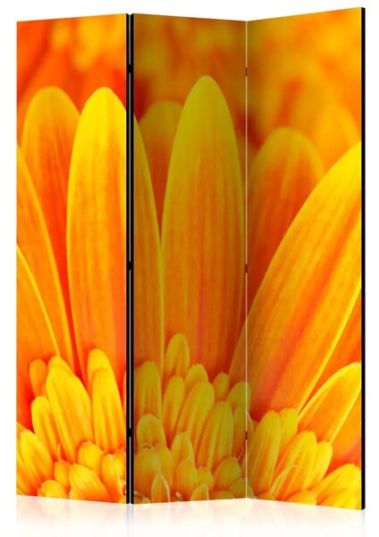 Paravento design Gerbera Gialla - Composizione di fiori gialli brillanti