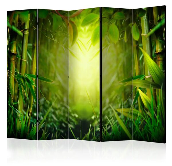 Paravento design Fate del Bosco II - Paesaggio verde di una foresta di bambù con luce