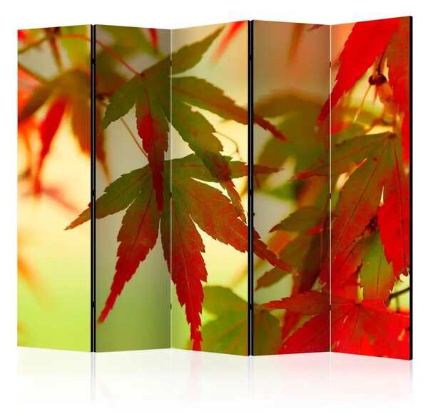 Paravento separè Foglie Colorate II - Albero con foglie rosse e verdi su sfondo chiaro