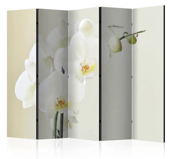 Paravento Orchidea bianca II - Fiore bianco di orchidea su sfondo chiaro sfumato