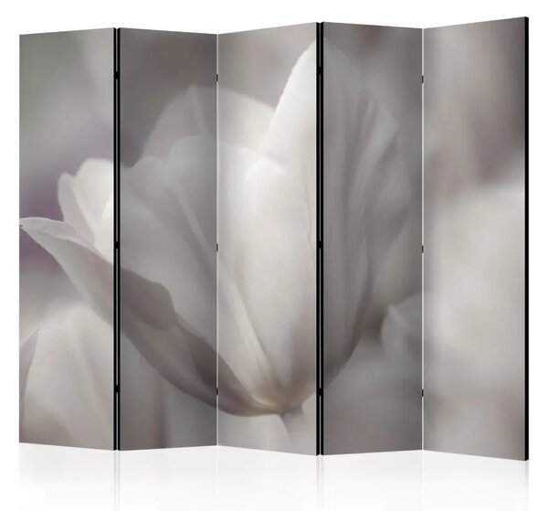 Paravento Tulipano - Foto in bianco e nero II - Tulipano in contrasto sbiadito