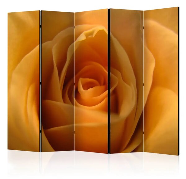Paravento separè Rosa gialla - Simbolo dell'amicizia II - Fiore giallo