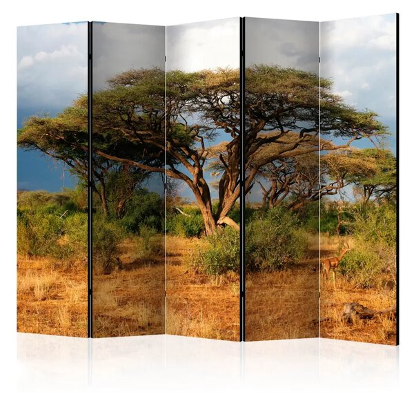 Paravento Nella Terra di Samburu, Kenya II - paesaggio tropicale con alberi