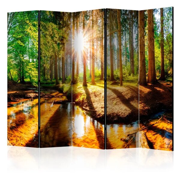 Paravento Meravigliosa Foresta II - Paesaggio di un fiume tra alberi al sole