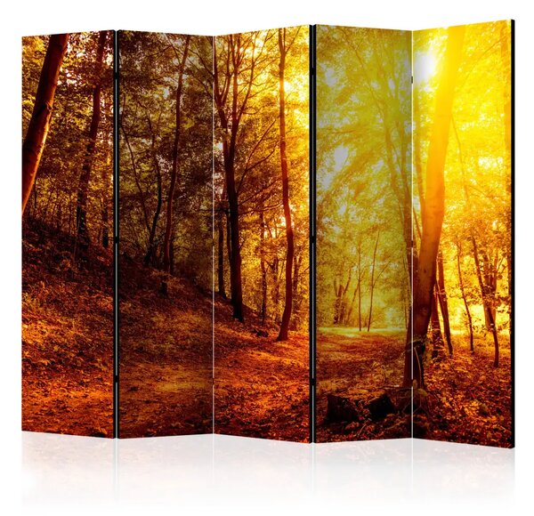 Paravento design Passeggiata Autunnale II - Paesaggio dorato di alberi autunnali
