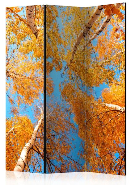 Paravento design Corone degli alberi autunnali - Foglie arancioni