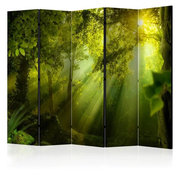 Paravento Nella Foresta Misteriosa II - Paesaggio verde di una foresta al sole