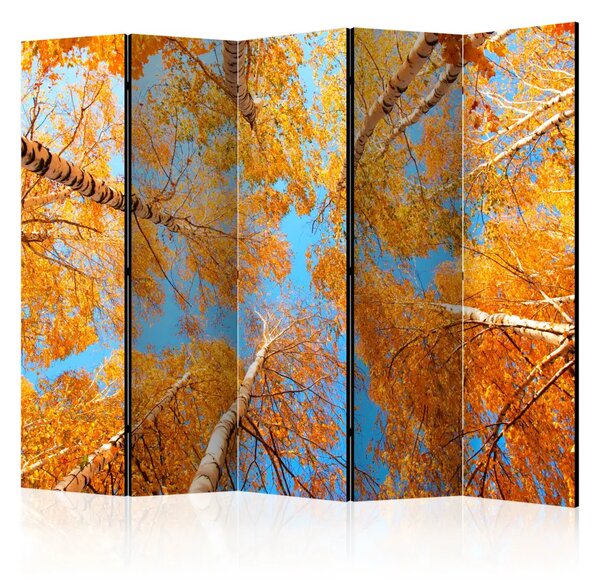 Paravento design Cime degli alberi autunnali II - foglie e cielo arancioni