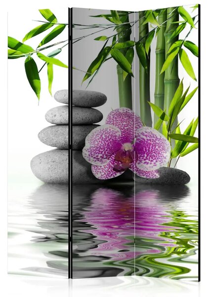 Paravento Calm orchid - pietre zen in mezzo alla natura