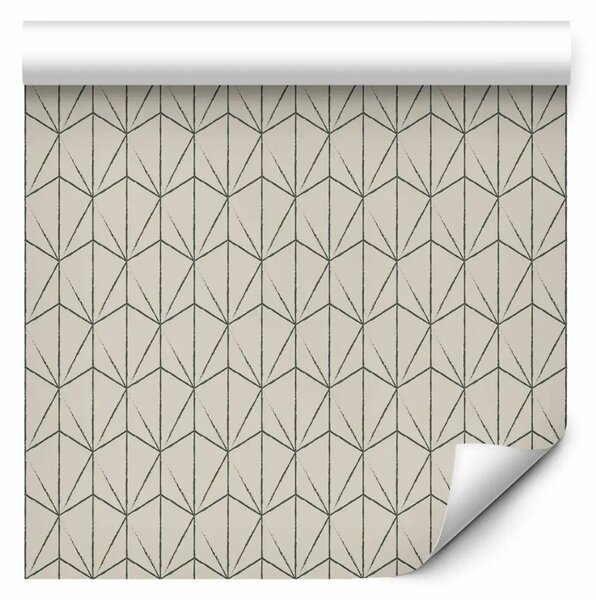 Tappezzerie Minimalismo geometrico
