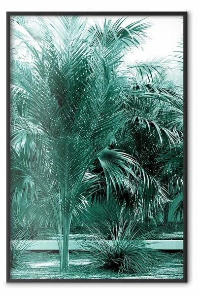 Poster: Laguna turchese - paesaggio tropicale di palme in contrasto turchese