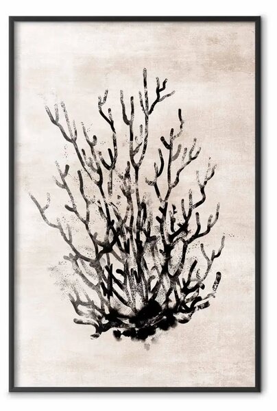 Poster: Vegetazione acquatica - composizione marina, sfondo chiaro beige